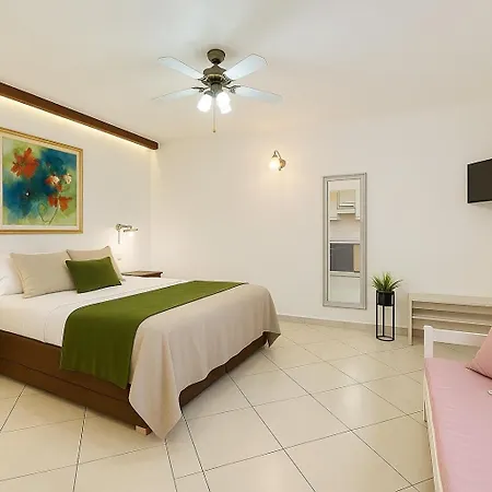 Old Town Hvar شقة